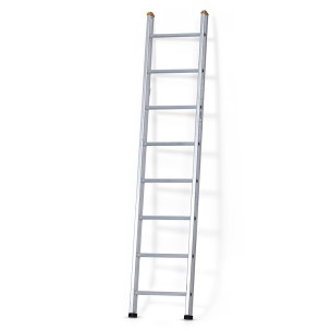 Enkele ladders